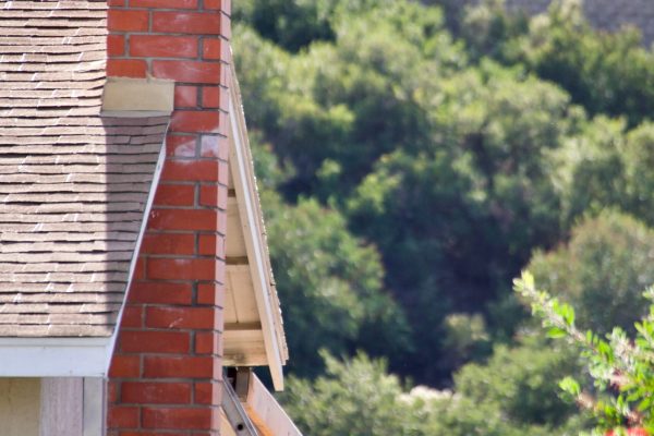 home-improvement-a-man-climbs-down-a-ladder-on-t-2025-03-09-15-43-47-utc