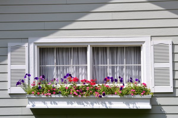 window-box-filled-with-colorful-flowers-underneath-2025-01-08-04-05-19-utc